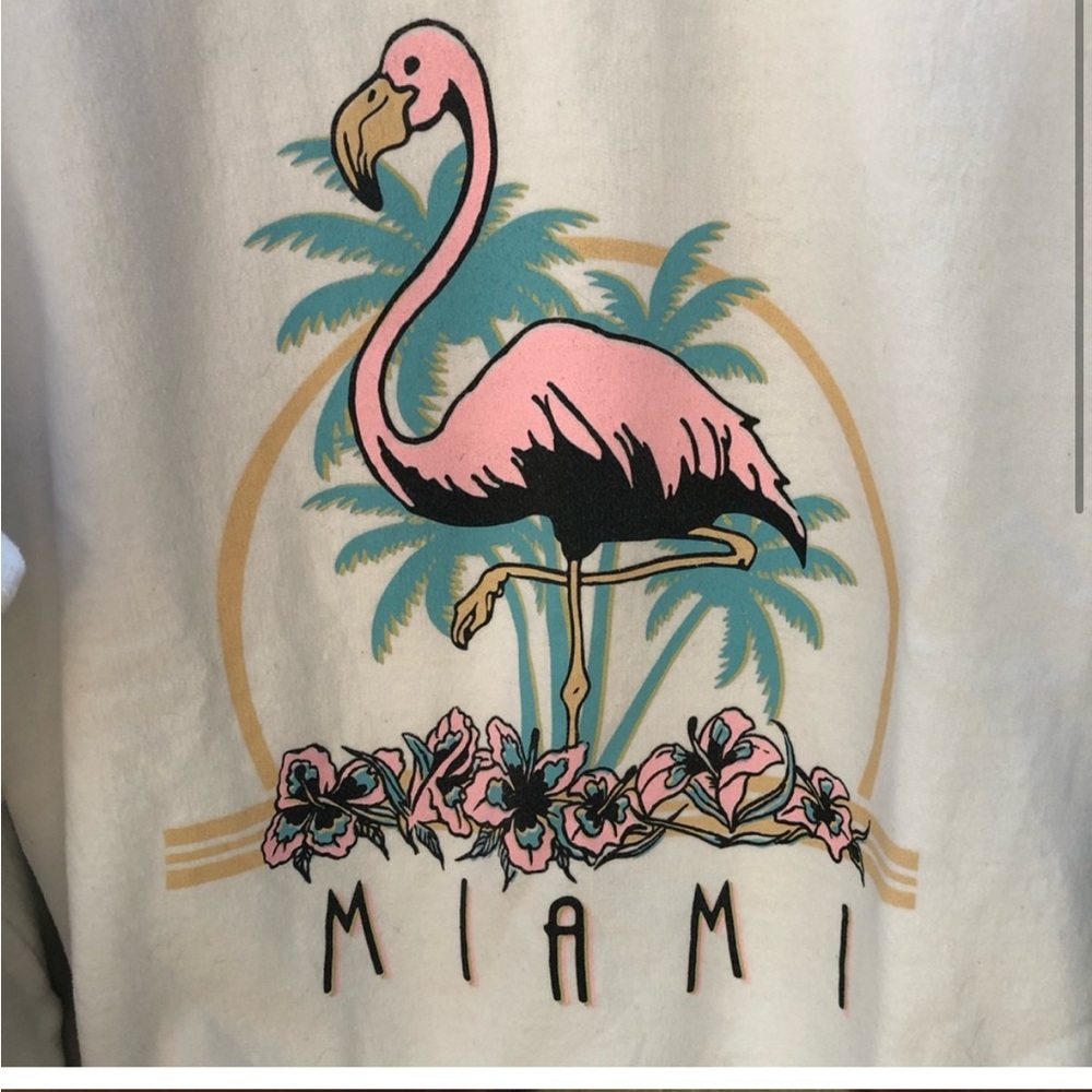 Miami Junk Food Sweatshirt | size small